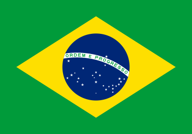 ブラジル人との国際結婚